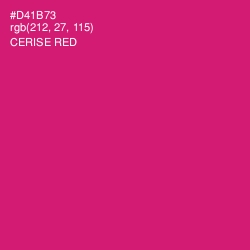 #D41B73 - Cerise Red Color Image
